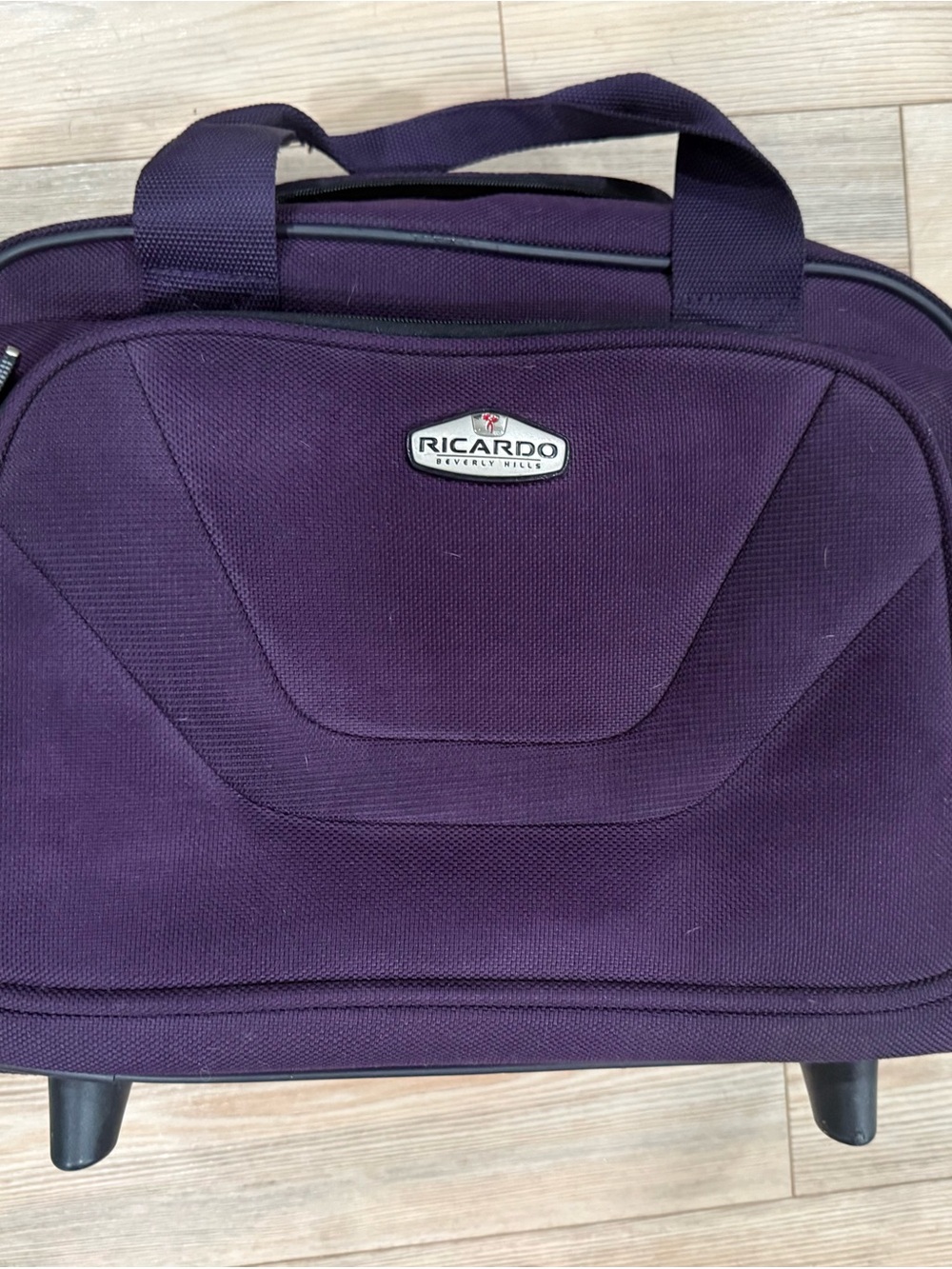 Ricardo Beverly Hills Travel Laptop Bag in Purple